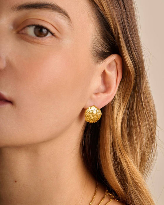 Cochellia Waterproof Gold Earrings